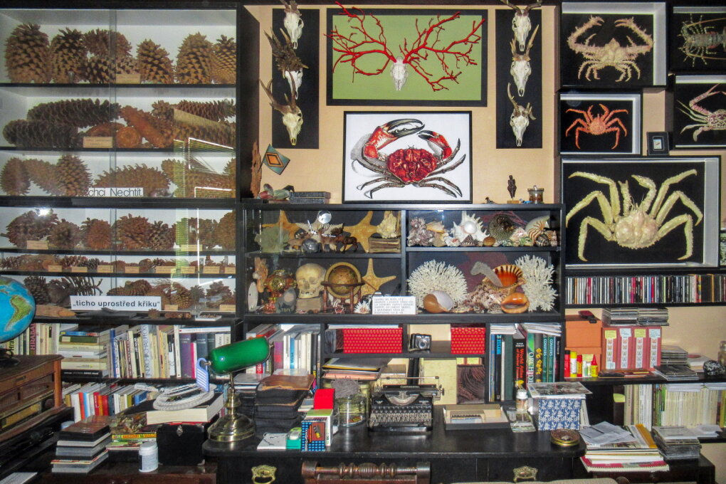 Jan Zuziak: An Outsider’s Insidership